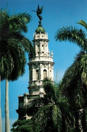Havana Angel framed by palms