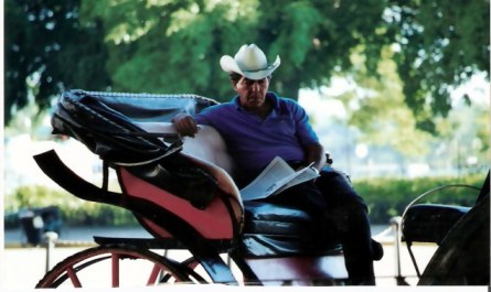 Havana Carriage driver relaxing in the shade – Habana Viejo
