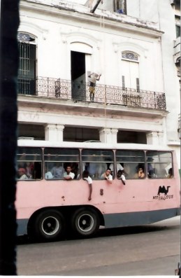 Havana Pink Camelo and balcony shopping by bucket 