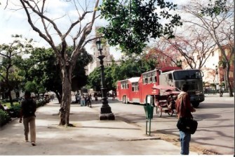 Havana Red Camelo pulled by military semi trailer 