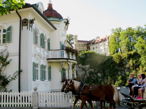 Horse-drawn carriage to Neuschwanstein by Jagerhaus