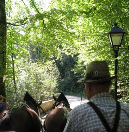 Horse-drawn coach route from Hohenschwangau Bavaria Horse-drawn coach route from Hohenschwangau Bavaria