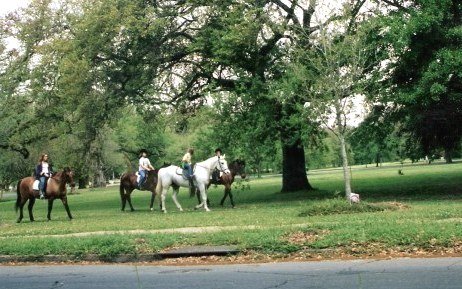 Horse riders in Audubon Park New Orleans