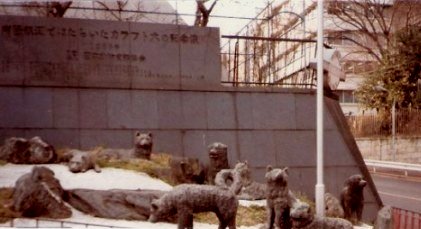 Karafuto dogs at Tokyo Tower