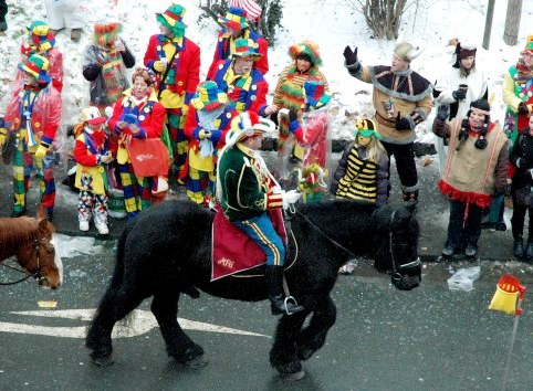 Mainz Carnival Parade Rosenmontag horse