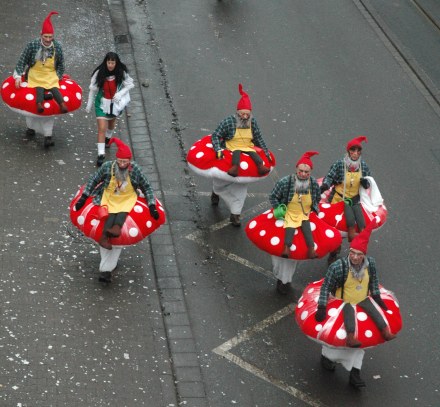 Mainz Fastnacht elf and mushroom costumes
