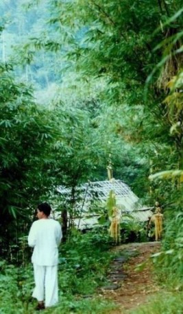 Mountain lunch-stop in forest of giant bamboos