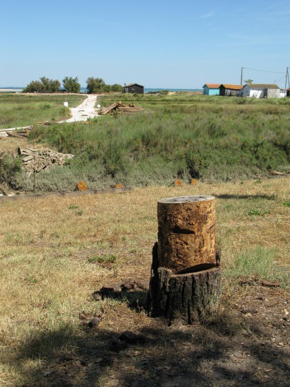 Île d’Oléron carved stump amongst oyster shacks