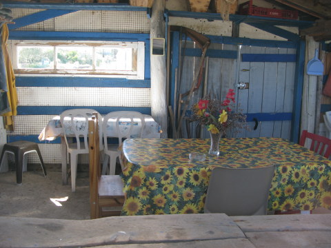 Île d’Oléron inside of oyster shack 