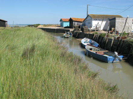 Île d’Oléron oyster boats