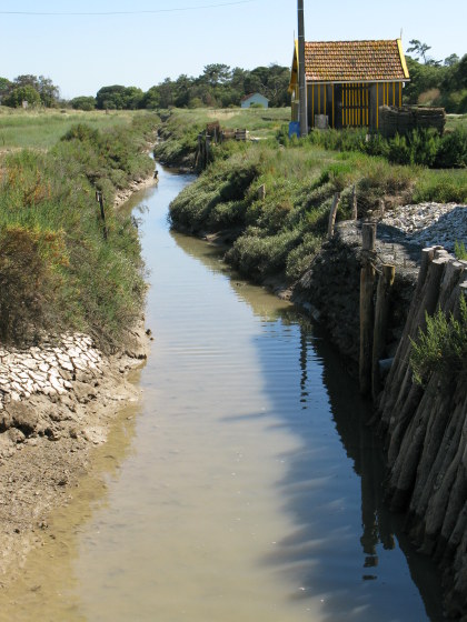 Île d’Oléron oyster channel or claire