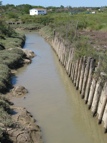 Île d’Oléron oyster route braced channel