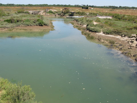 Île d’Oléron oyster route channel