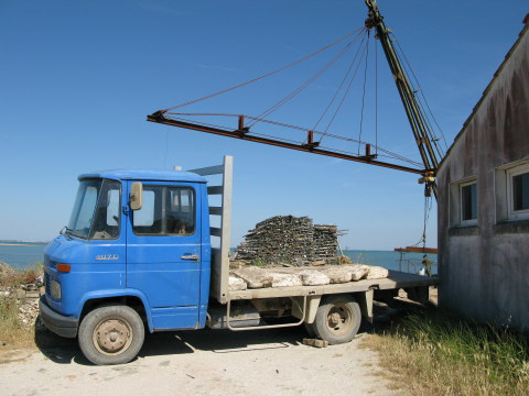 Île d’Oléron oyster stakes being loaded