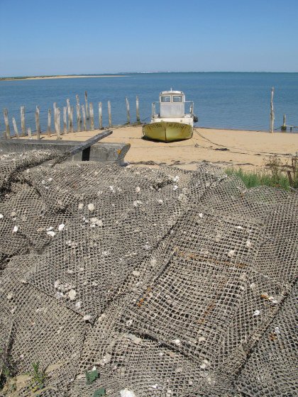 Île d’Oléron piles of mesh sacks