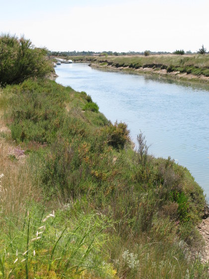 Île d’Oléron wide oyster channel