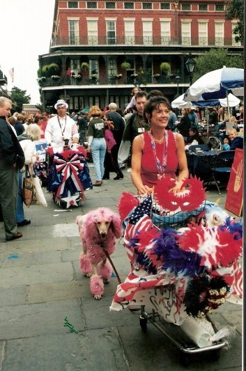 Pink poodle at Krewe of Barkus Parade New Orleans