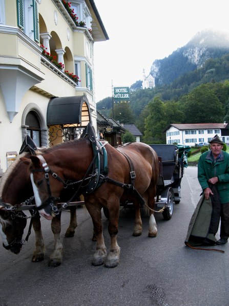 Preparing carriages to Neuschwanstein Castle Bavaria