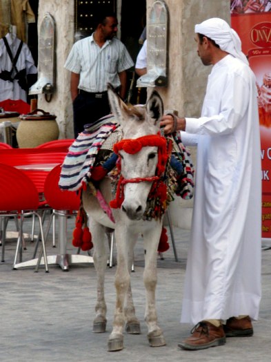Qatar Doha Old Souk donkey