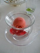 Sorbet