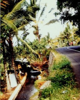 Roadside walkers in Bali