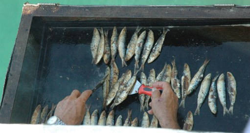 Sardines cooking on stern-side BBQ