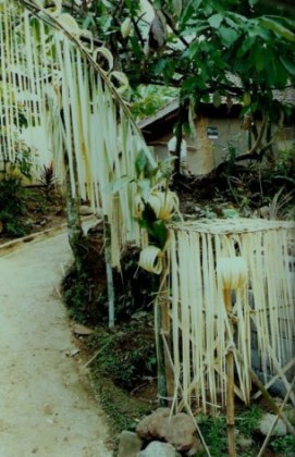 Shredded bamboo-leaf entrance decorations in Bali