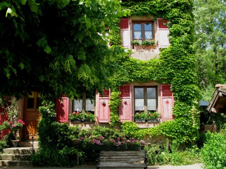 Thumbnail: Vosges House France