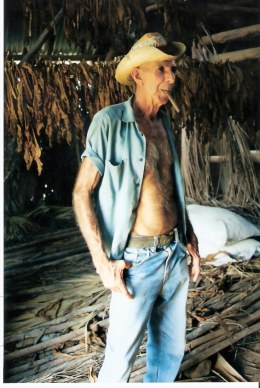 Tobacco farmer by drying tobacco - Viñales valley - Cuba