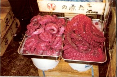 Tokyo Fish Market Red Squid
