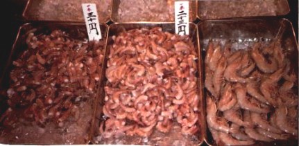 Tokyo Fish Market Shrimp and Prawns