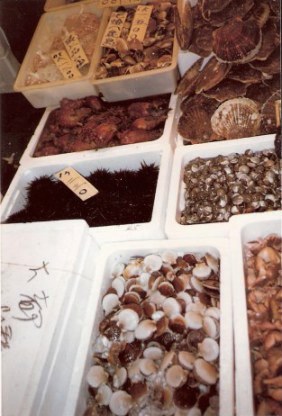 Tokyo Fish Market shellfish and sea anemones