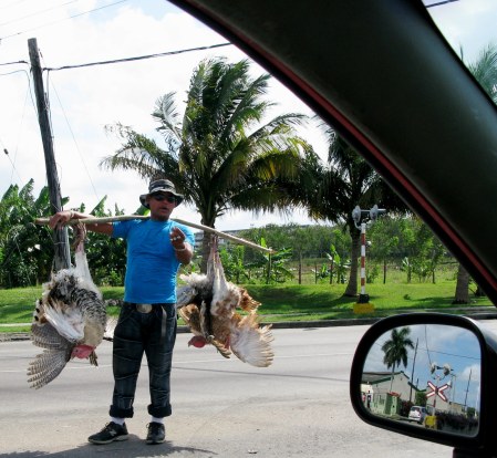 Turkey seller Boyeros Havana Cuba