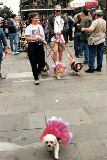 Tutu hounds at Krewe of Barkus Parade New Orleans