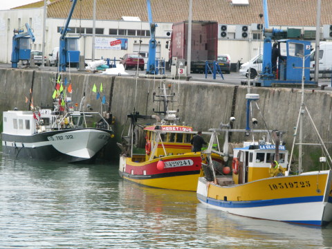 Île d’Oléron port of La Cotinière fishing boats unloading