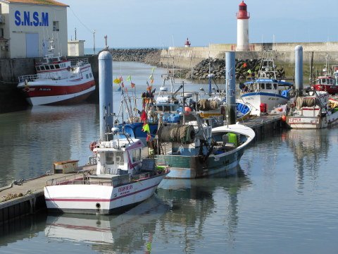 Île d’Oléron port of La Cotinière low tide