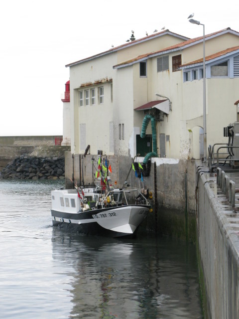 Île d’Oléron port of La Cotinière trawler at fish factory 