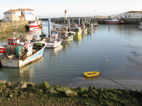 Île d’Oléron La Cotinière trawlers