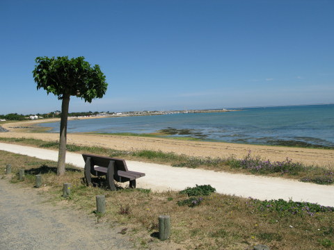 Île d’Oléron St. Denis cycle-path seat