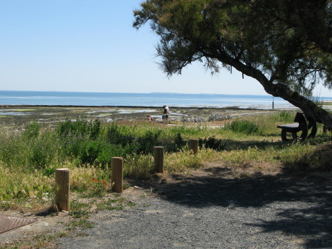 Île d’Oléron St. Denis seat by écluse